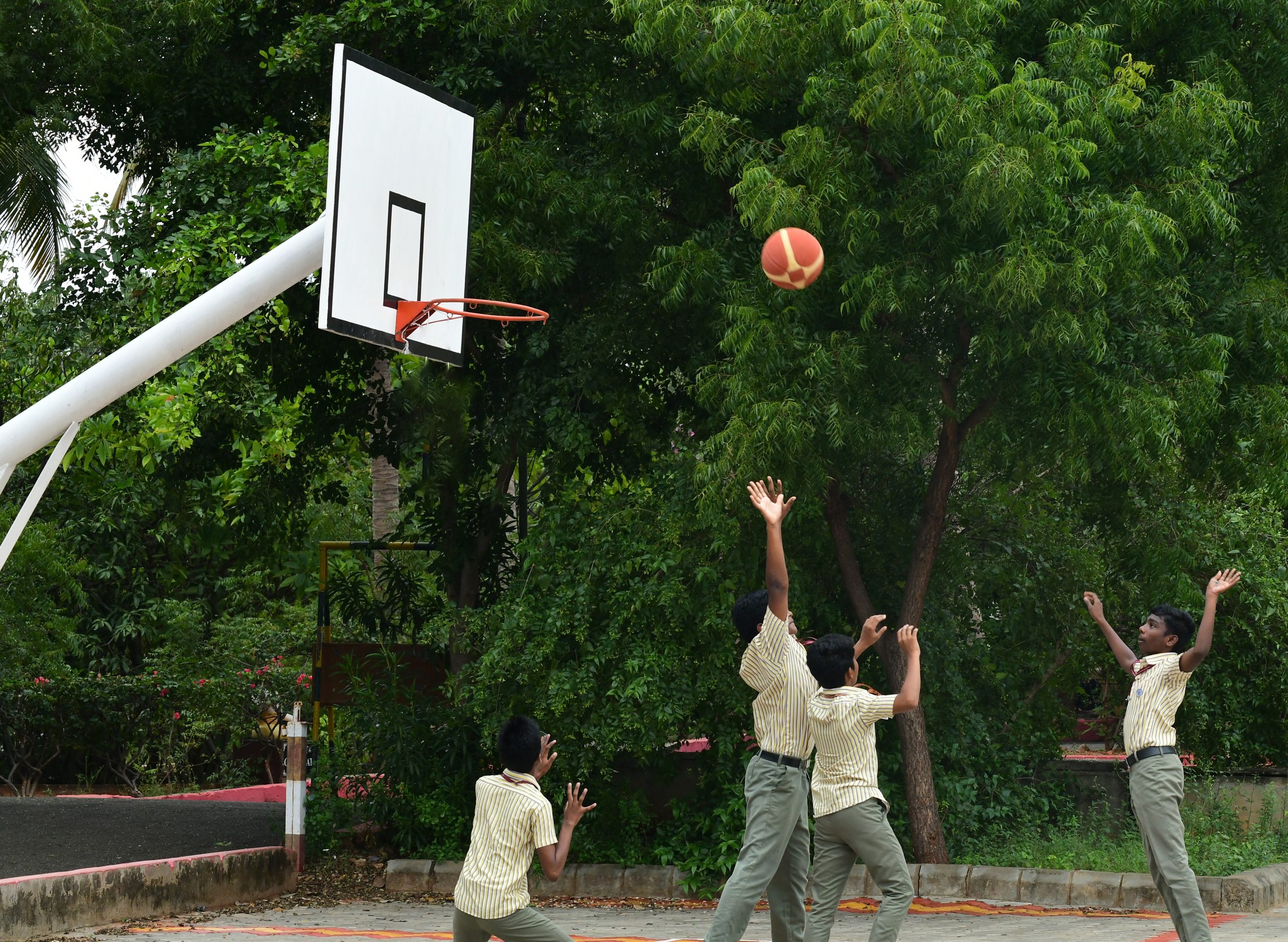 Basketball Court